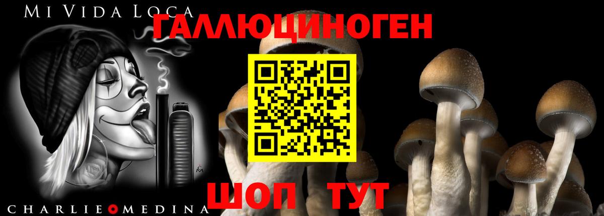 Галлюциногенные грибы Magic Shrooms Сосновоборск